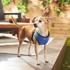 Frisco Padded Step-In Harness 9 Frisco Padded Step-In Harness -PetPalace Picks 287451 PT8. AC SS1800 V1631669389