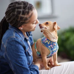 Frisco Fashion Over-The-Head Harness, Tropical Floral 9 Frisco Fashion Over-The-Head Harness, Tropical Floral -PetPalace Picks 287476 PT8. AC SS1800 V1632316953