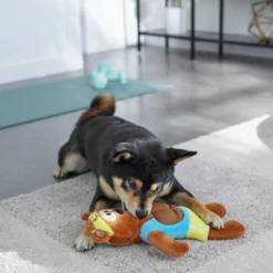 Frisco Fitness Bear Reversible Plush Squeaky Dog Toy -PetPalace Picks 288897 PT3. AC SS1800 V1638291713