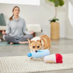 Frisco Protein & Water Bottle Cruncher Dog Toy -PetPalace Picks 288927 PT3. AC SS1800 V1638291847