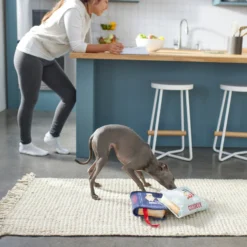 Frisco Cookbooks Plush Squeaky Dog Toy, 2 Count -PetPalace Picks 288937 PT3. AC SS1800 V1638287852