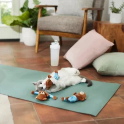 Frisco New Year, New Me Namaste Bear Plush Cat Toy With Catnip 5 Frisco New Year, New Me Namaste Bear Plush Cat Toy With Catnip -PetPalace Picks 288947 PT3. AC SS1800 V1638289414