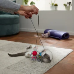 Frisco New Year, New Me Gym Bouncy Mice Plush Cat Toy With Catnip -PetPalace Picks 288949 PT3. AC SS1800 V1638289802