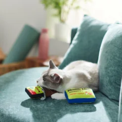 Frisco Protein Bar & Gym Membership Plush Cat Toy With Catnip -PetPalace Picks 288951 PT3. AC SS1800 V1638290814