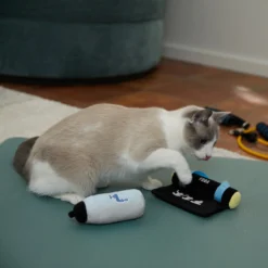 Frisco Yoga Mat & Water Bottle Plush Cat Toy With Catnip, 2 Count -PetPalace Picks 288955 PT3. AC SS1800 V1638289648