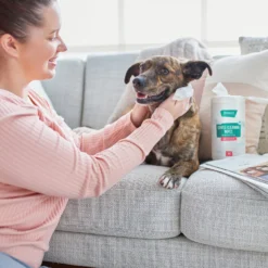 Frisco Gentle Cleaning Waterless Grooming Wipes For Puppies & Kittens, Green Tea Scent -PetPalace Picks 291592 PT4. AC SS1800 V1627306695