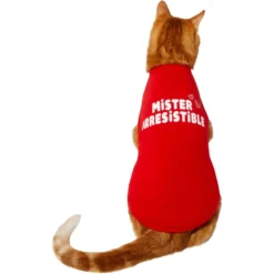 Frisco Mister Irresistible Dog & Cat T-Shirt 9 Frisco Mister Irresistible Dog & Cat T-Shirt -PetPalace Picks 292026 PT2. AC SS1800 V1637268745