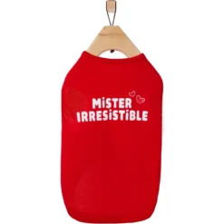 Frisco Mister Irresistible Dog & Cat T-Shirt 10 Frisco Mister Irresistible Dog & Cat T-Shirt -PetPalace Picks 292026 PT4. AC SS1800 V1637267791