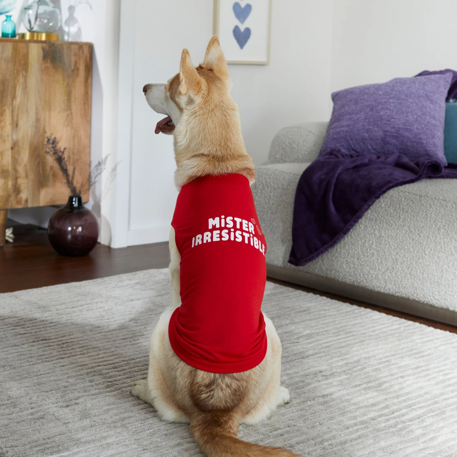 Frisco Mister Irresistible Dog & Cat T-Shirt 6 Frisco Mister Irresistible Dog & Cat T-Shirt - Image 6