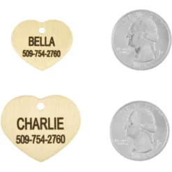 Frisco Brass Personalized Dog & Cat ID Tag, Heart 8 Frisco Brass Personalized Dog & Cat ID Tag, Heart -PetPalace Picks 296197 PT5. AC SS1800 V1628186498