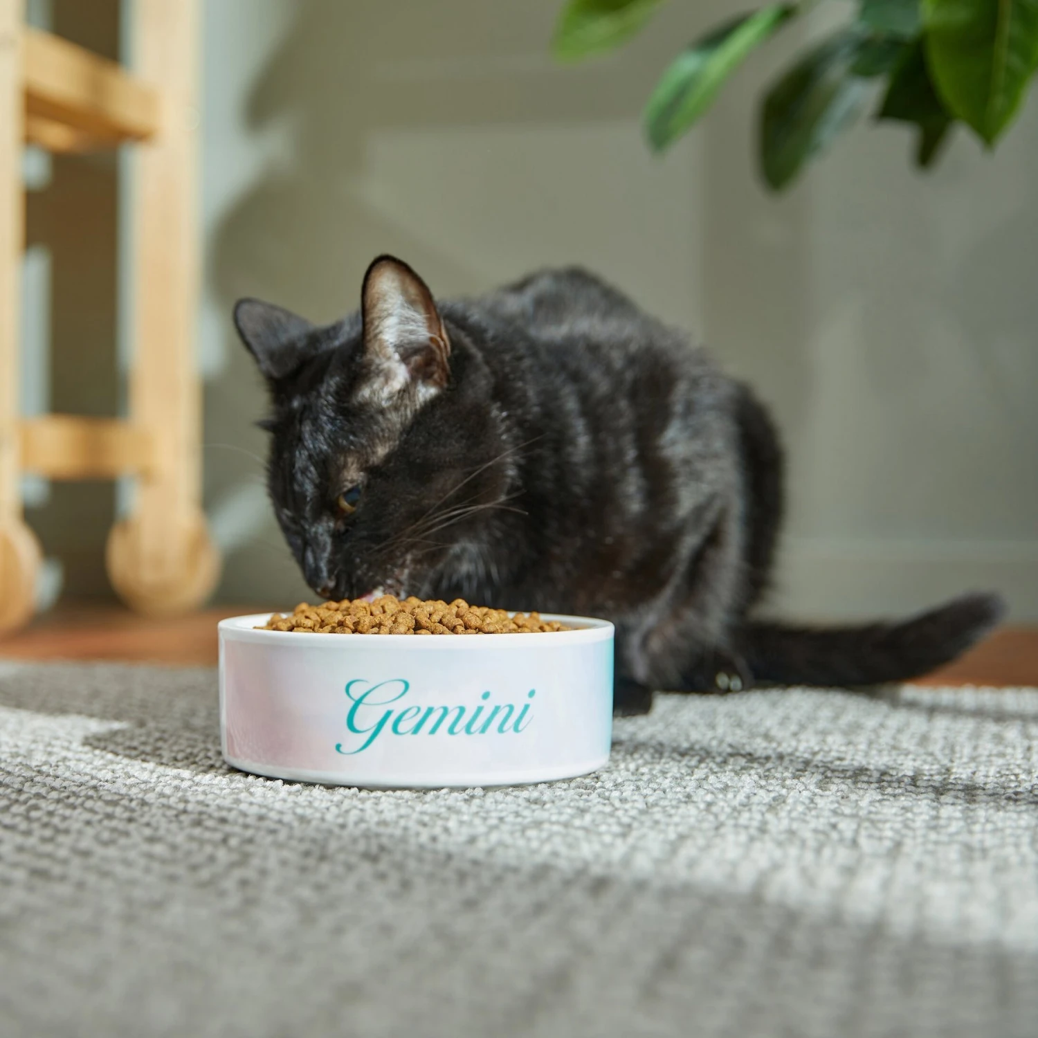 Frisco Watercolors Ceramic Personalized Dog Bowl 4 Frisco Watercolors Ceramic Personalized Dog Bowl - Image 4