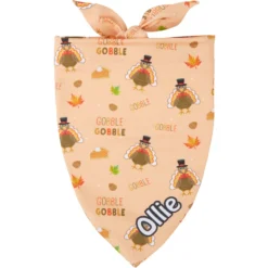 Frisco Quirky Thanksgiving Personalized Dog & Cat Bandana