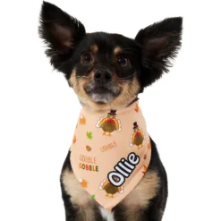 Frisco Quirky Thanksgiving Personalized Dog & Cat Bandana -PetPalace Picks 296986 PT6. AC SS1800 V1627654020