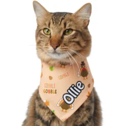 Frisco Quirky Thanksgiving Personalized Dog & Cat Bandana -PetPalace Picks 296986 PT7. AC SS1800 V1627654903