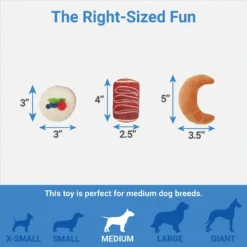 Frisco Brunch Pastry Plate Plush Squeaky Dog Toy -PetPalace Picks 297262 PT2. AC SS1800 V1643916710