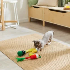 Frisco Brunch Bottomless Mimosas Plush Cat Toy With Catnip, 3 Count -PetPalace Picks 297288 PT2. AC SS1800 V1642088553