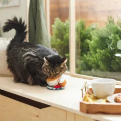 Frisco Brunch Teacup Plush Cat Toy With Catnip -PetPalace Picks 297292 PT2. AC SS1800 V1642088843