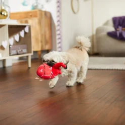 Frisco Valentine Anatomical Heart Plush Squeaky Dog Toy 6 Frisco Valentine Anatomical Heart Plush Squeaky Dog Toy -PetPalace Picks 298933 PT3. AC SS1800 V1638987632