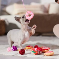 Frisco Valentine Variety Pack Cat Toy With Catnip, 13 Count -PetPalace Picks 298966 PT3. AC SS1800 V1701364858