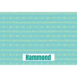 Frisco Mudcloth Personalized Dog & Cat Placemat -PetPalace Picks 299552 PT2. AC SS1800 V1636048646