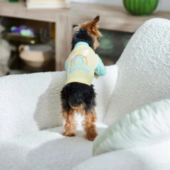 Frisco Hipster Hopster Dog & Cat T-Shirt 11 Frisco Hipster Hopster Dog & Cat T-Shirt -PetPalace Picks 300638 PT5. AC SS1800 V1641540418