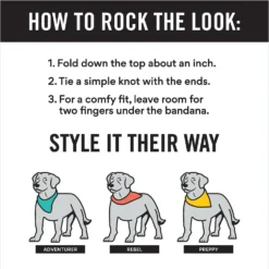 Frisco Fair Isle Personalized Dog & Cat Bandana -PetPalace Picks 301357 PT2. AC SS1800 V1623274656