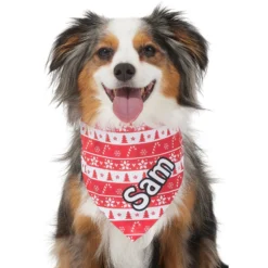 Frisco Fair Isle Personalized Dog & Cat Bandana -PetPalace Picks 301357 PT6. AC SS1800 V1628100112