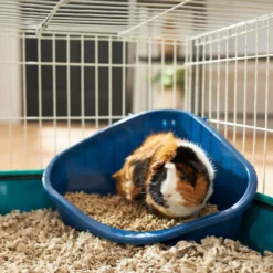 Frisco Corner Small Pet Litter Box & Frisco Small Pet Paper Bedding -PetPalace Picks 301918 PT3. AC SS1800 V1644972101