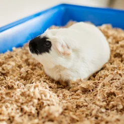 Frisco High Sided Small Pet Litter Box & Frisco Small Pet Paper Bedding -PetPalace Picks 301934 PT6. AC SS1800 V1644966762