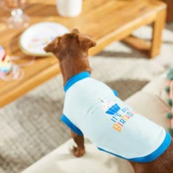 Frisco Happy Birthday Dog & Cat Crown & Frisco It's My Birthday & Cat T-Shirt -PetPalace Picks 302470 PT7. AC SS1800 V1623037657