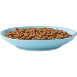 Frisco New York Non-skid Ceramic Cat Dish & Frisco New York Non-skid Ceramic Cat Bowl -PetPalace Picks 302488 PT2. AC SS1800 V1623059244