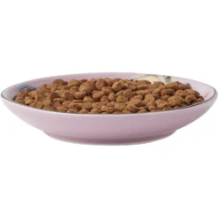 Frisco Paris Non-skid Ceramic Cat Dish & Frisco Paris Non-skid Ceramic Cat Dish 11 Frisco Paris Non-skid Ceramic Cat Dish & Frisco Paris Non-skid Ceramic Cat Dish -PetPalace Picks 302490 PT2. AC SS1800 V1623058041