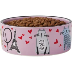 Frisco Paris Non-skid Ceramic Cat Dish & Frisco Paris Non-skid Ceramic Cat Dish 15 Frisco Paris Non-skid Ceramic Cat Dish & Frisco Paris Non-skid Ceramic Cat Dish -PetPalace Picks 302490 PT6. AC SS1800 V1623067060