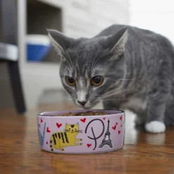 Frisco Paris Non-skid Ceramic Cat Dish & Frisco Paris Non-skid Ceramic Cat Dish 17 Frisco Paris Non-skid Ceramic Cat Dish & Frisco Paris Non-skid Ceramic Cat Dish -PetPalace Picks 302490 PT8. AC SS1800 V1623043046
