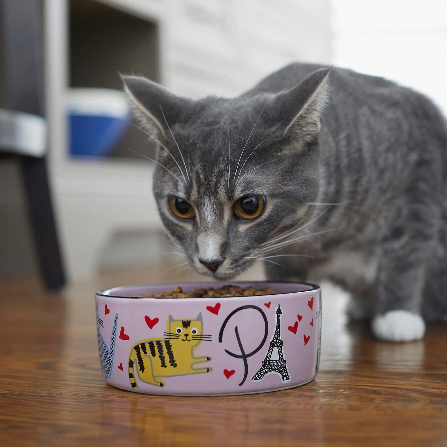 Frisco Paris Non-skid Ceramic Cat Dish & Frisco Paris Non-skid Ceramic Cat Dish 9 Frisco Paris Non-skid Ceramic Cat Dish & Frisco Paris Non-skid Ceramic Cat Dish - Image 9