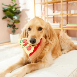 Frisco Pizza Slice Plush Squeaky Dog Toy & Frisco Taco Plush Squeaky Dog Toy -PetPalace Picks 302494 PT3. AC SS1800 V1623051762