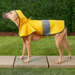 Frisco Lightweight Rainy Days Dog Raincoat & Frisco Lightweight Clear Vinyl Dog Raincoat 13 Frisco Lightweight Rainy Days Dog Raincoat & Frisco Lightweight Clear Vinyl Dog Raincoat -PetPalace Picks 302814 PT4. AC SS1800 V1623089554