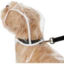 Frisco Lightweight Rainy Days Dog Raincoat & Frisco Lightweight Clear Vinyl Dog Raincoat 15 Frisco Lightweight Rainy Days Dog Raincoat & Frisco Lightweight Clear Vinyl Dog Raincoat -PetPalace Picks 302814 PT6. AC SS1800 V1623065256