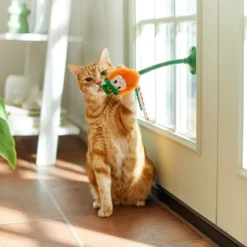 Frisco St. Patrick's Leprechaun Suction Cup Teaser Cat Toy With Catnip -PetPalace Picks 303110 PT3. AC SS1800 V1641230446