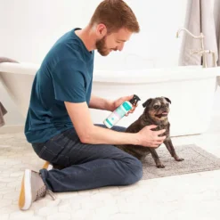 Frisco Aloe Hydrating Dog & Cat Spray, Sweet Nectar Scent & Frisco Oatmeal Dog & Cat Shampoo, Almond Scent 12 Frisco Aloe Hydrating Dog & Cat Spray, Sweet Nectar Scent & Frisco Oatmeal Dog & Cat Shampoo, Almond Scent -PetPalace Picks 303372 PT3. AC SS1800 V1623046355