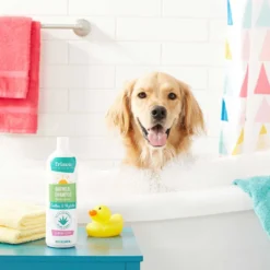 Frisco Aloe Hydrating Dog & Cat Spray, Sweet Nectar Scent & Frisco Oatmeal Dog & Cat Shampoo, Almond Scent 16 Frisco Aloe Hydrating Dog & Cat Spray, Sweet Nectar Scent & Frisco Oatmeal Dog & Cat Shampoo, Almond Scent -PetPalace Picks 303372 PT7. AC SS1800 V1623066760