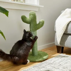Frisco Cactus Cat Scratching Post & Frisco Dangly Avocado Buddy Plush Cat Toy With Catnip 10 Frisco Cactus Cat Scratching Post & Frisco Dangly Avocado Buddy Plush Cat Toy With Catnip -PetPalace Picks 303380 PT3. AC SS1800 V1623081149