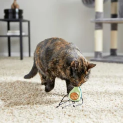 Frisco Cactus Cat Scratching Post & Frisco Dangly Avocado Buddy Plush Cat Toy With Catnip 13 Frisco Cactus Cat Scratching Post & Frisco Dangly Avocado Buddy Plush Cat Toy With Catnip -PetPalace Picks 303380 PT6. AC SS1800 V1623085642