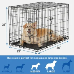 Frisco Fold & Carry Double Door Collapsible Wire Dog Crate & Mat Kit & Frisco Stainless Steel Bowl -PetPalace Picks 303428 PT2. AC SS1800 V1623055045