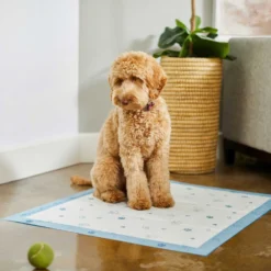 Frisco Fold & Carry Single Door Collapsible Wire Dog Crate & Frisco Premium Extra Large Printed Dog Training & Potty Pads 17 Frisco Fold & Carry Single Door Collapsible Wire Dog Crate & Frisco Premium Extra Large Printed Dog Training & Potty Pads -PetPalace Picks 303438 PT8. AC SS1800 V1623051743