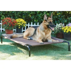 Frisco Replacement Cover For Steel-Framed Elevated Dog Bed & Frisco Steel-Framed Elevated Dog Bed -PetPalace Picks 303624 PT5. AC SS1800 V1623084445