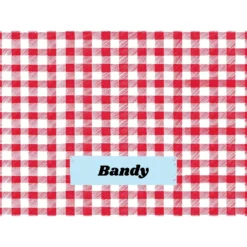 Frisco Personalized Gingham Plaid Sherpa Cat & Dog Blanket, 30" X 40" -PetPalace Picks 303834 PT4. AC SS1800 V1637610144