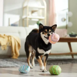 Frisco Easter Eggs Plush Squeaky Dog Toy -PetPalace Picks 304954 PT4. AC SS1800 V1702500565