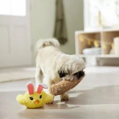 Frisco Easter Chick In Nest 2-in-1 Plush Squeaky Dog Toy -PetPalace Picks 304962 PT4. AC SS1800 V1702500565