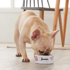 Frisco Personalized Rustic Ceramic Dog & Cat Bowl 7 Frisco Personalized Rustic Ceramic Dog & Cat Bowl -PetPalace Picks 306763 PT4. AC SS1800 V1639518086